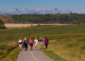 Birding & Nature Walking Tours