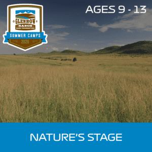 Nature's Stage Summer Camp (Ages 9 - 13)