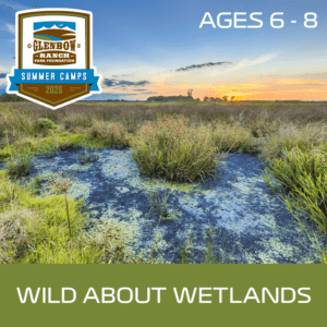 Wild About Wetlands Summer Camp (Ages 6 - 8)